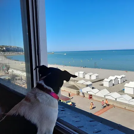 Apartment L'aneda - Studio Vue Panoramique Sur Mer - 2 Personnes - Animaux Ok - Wifi *