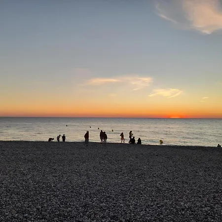 L'aneda - Studio Vue Panoramique Sur Mer - 2 Personnes - Animaux Ok - Wifi شقة *